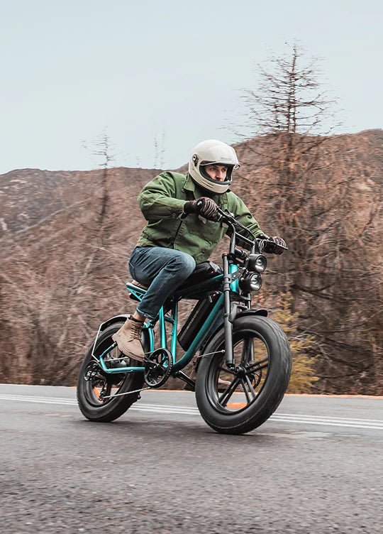ENGWE M20 Elcykel